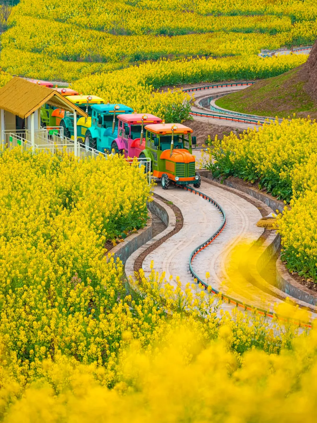 小火车 宜宾欢乐田园供图.jpg
