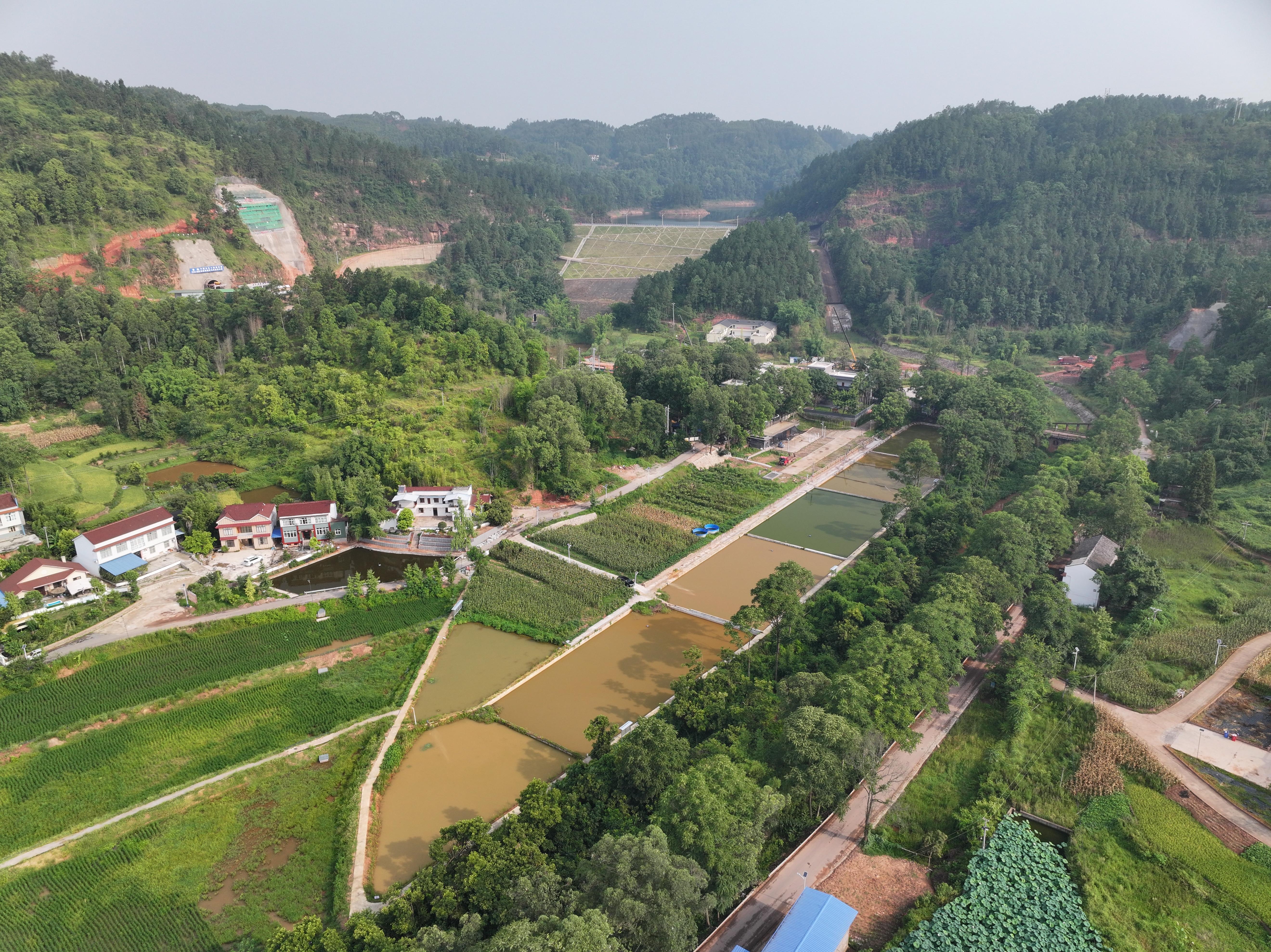 DJI_20250805090848_0036_D.JPG