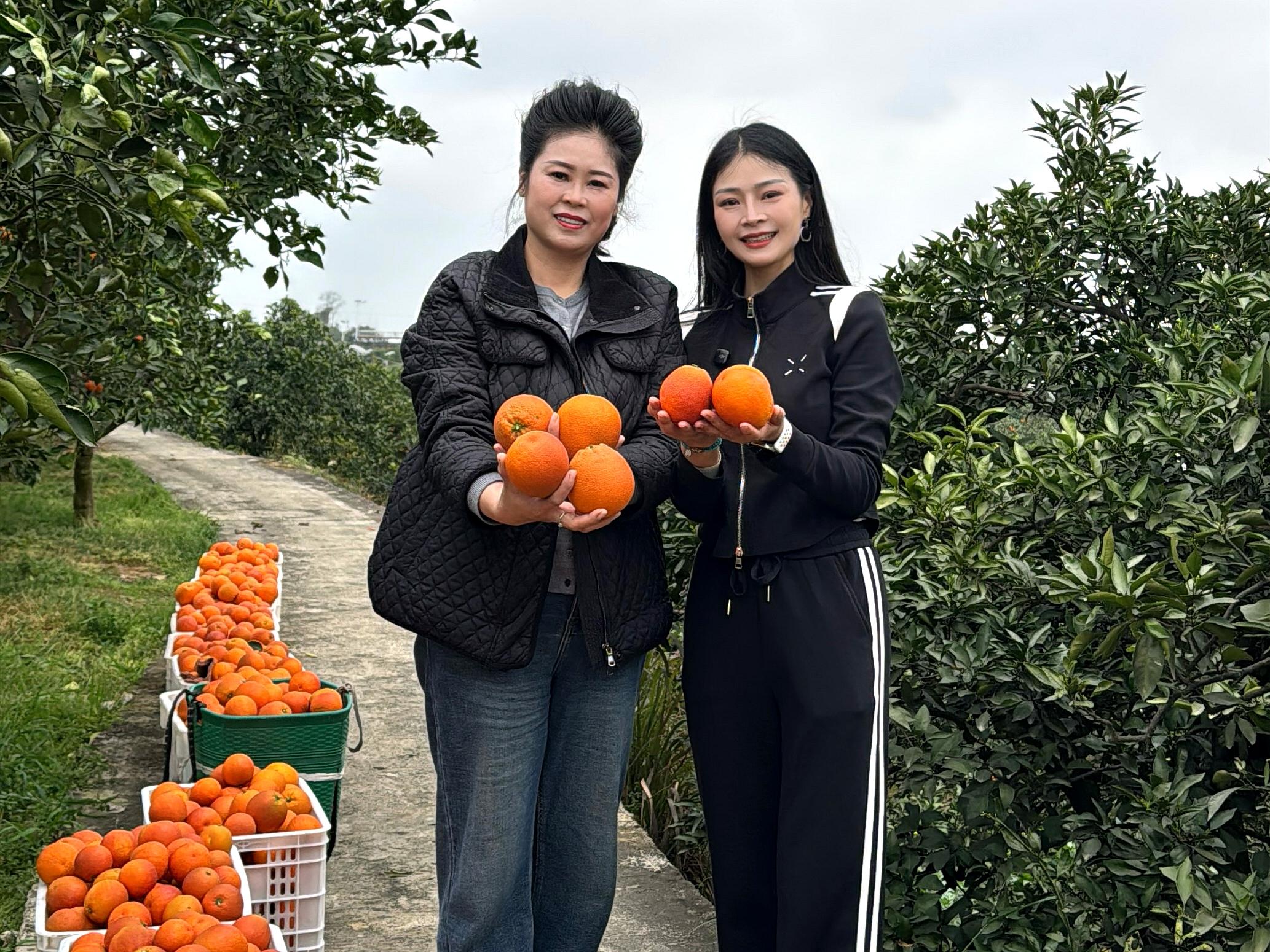 1642094367337999.jpg 微信图片_20260302072229_3_1992.jpg