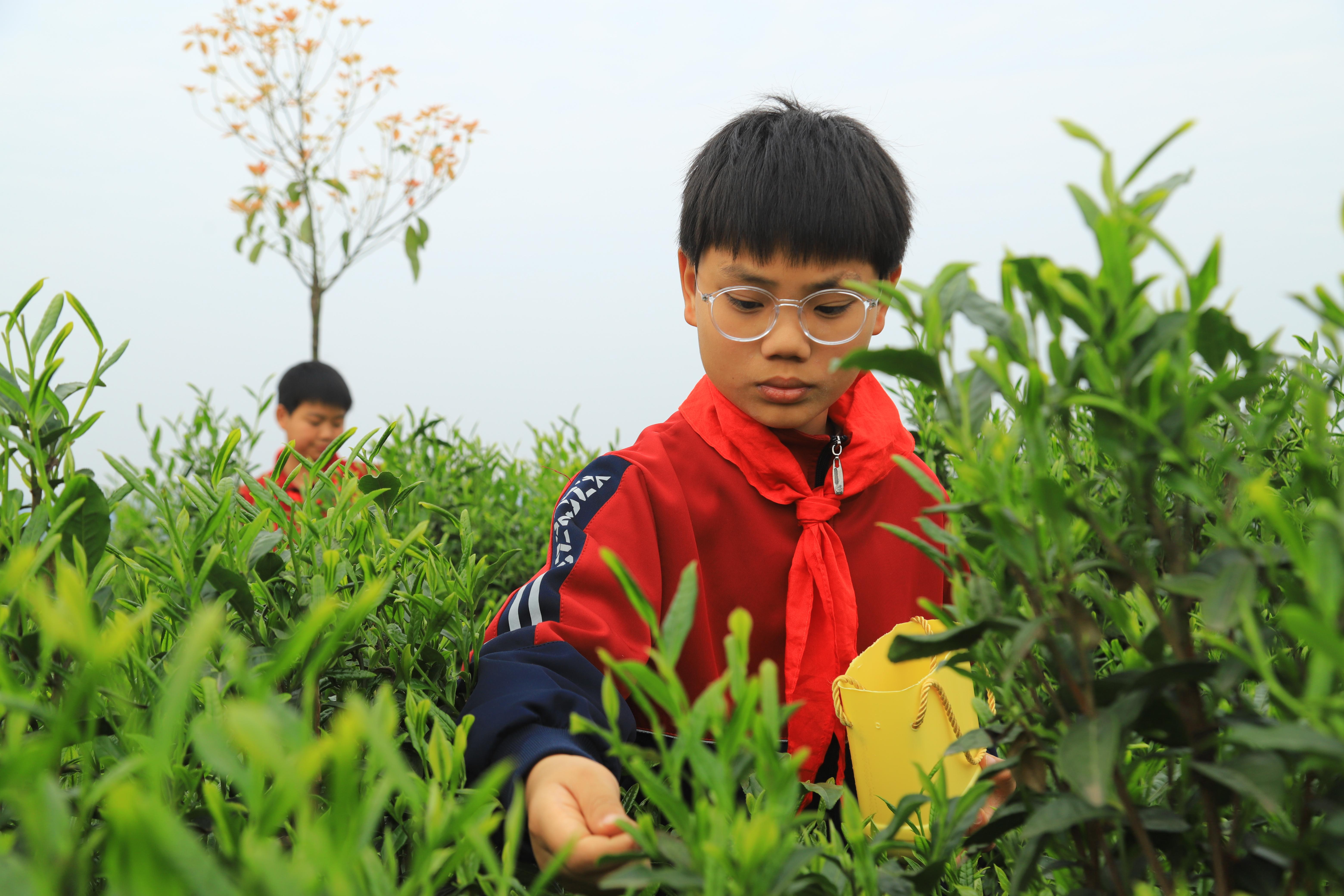 1602419808451068.jpg IMG_9912.JPG