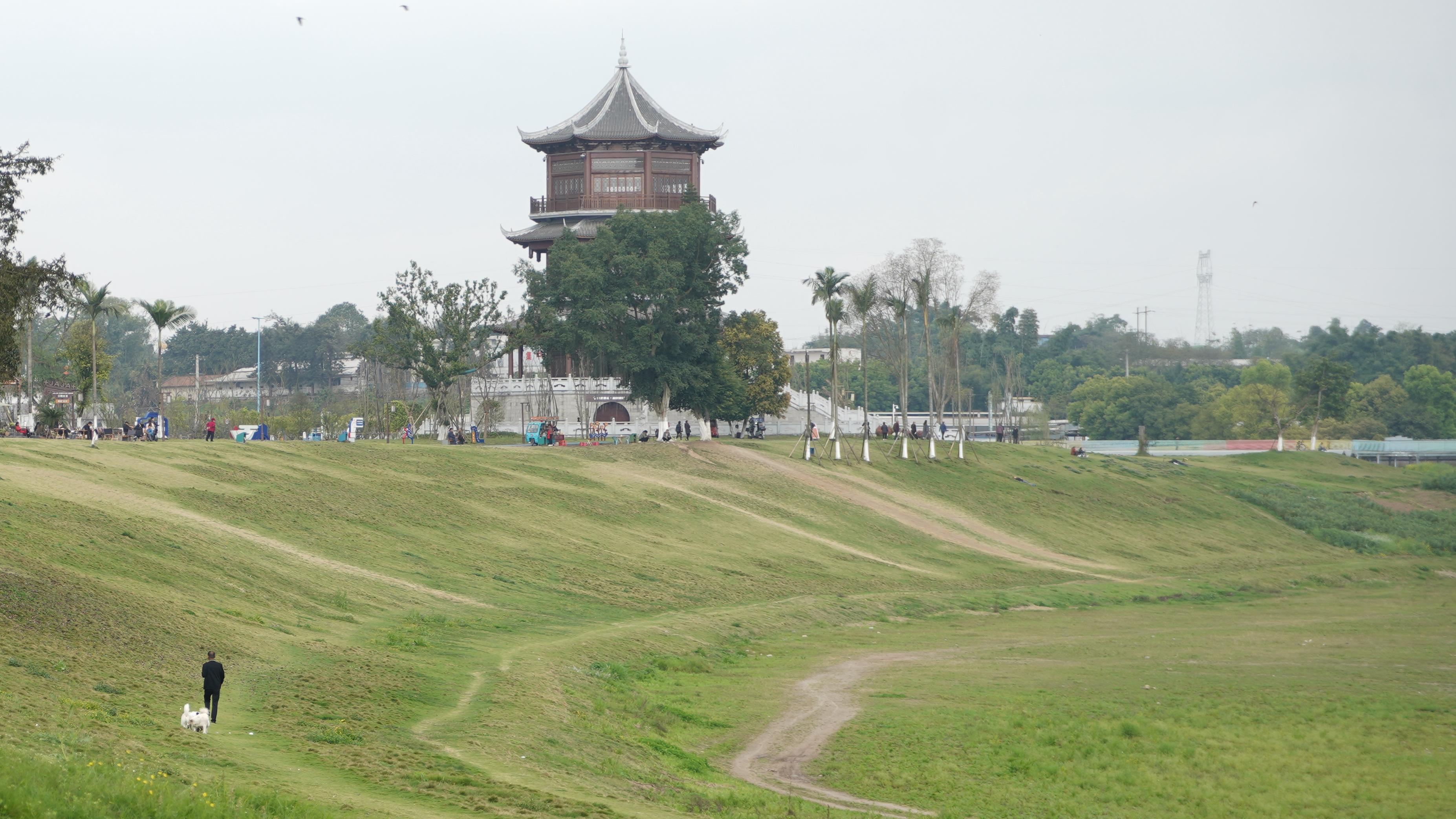 1602367506645424.jpg DSC02958.JPG