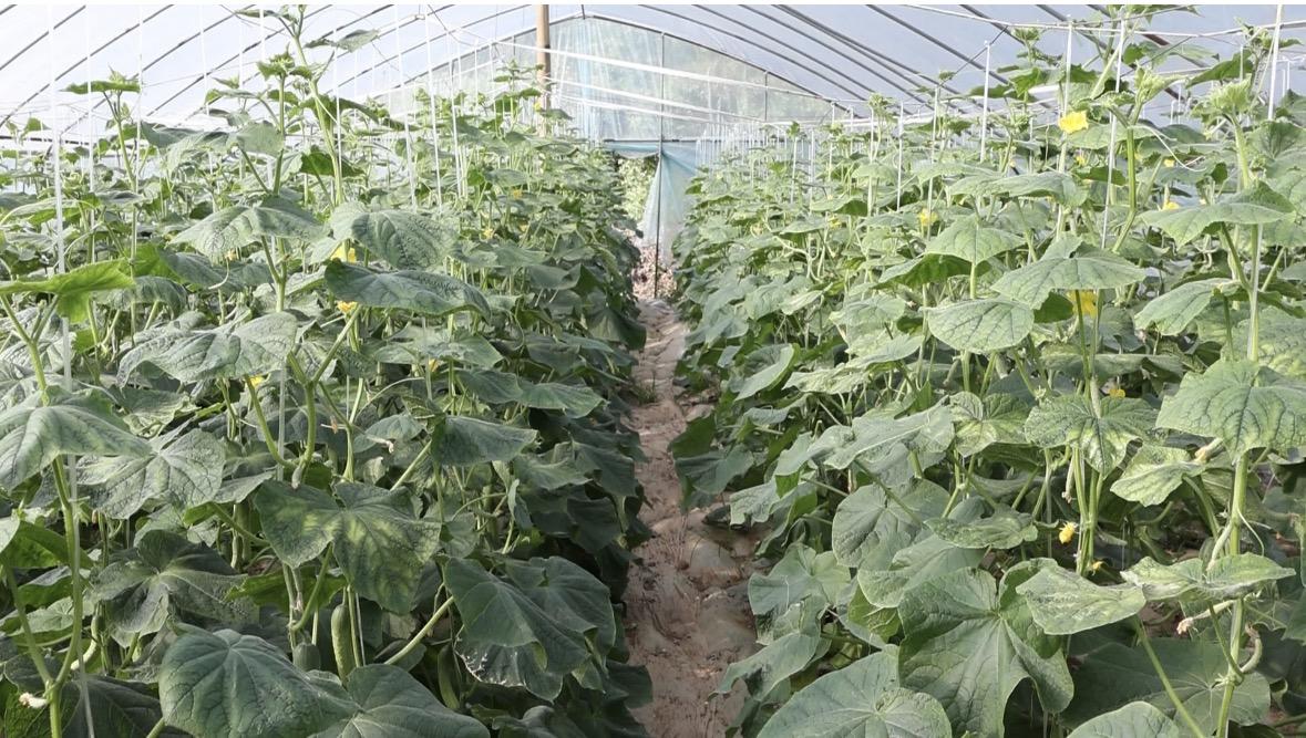 0923122172384824.jpg 5197e24bd4b0166c346f6f9d85d55256.jpg