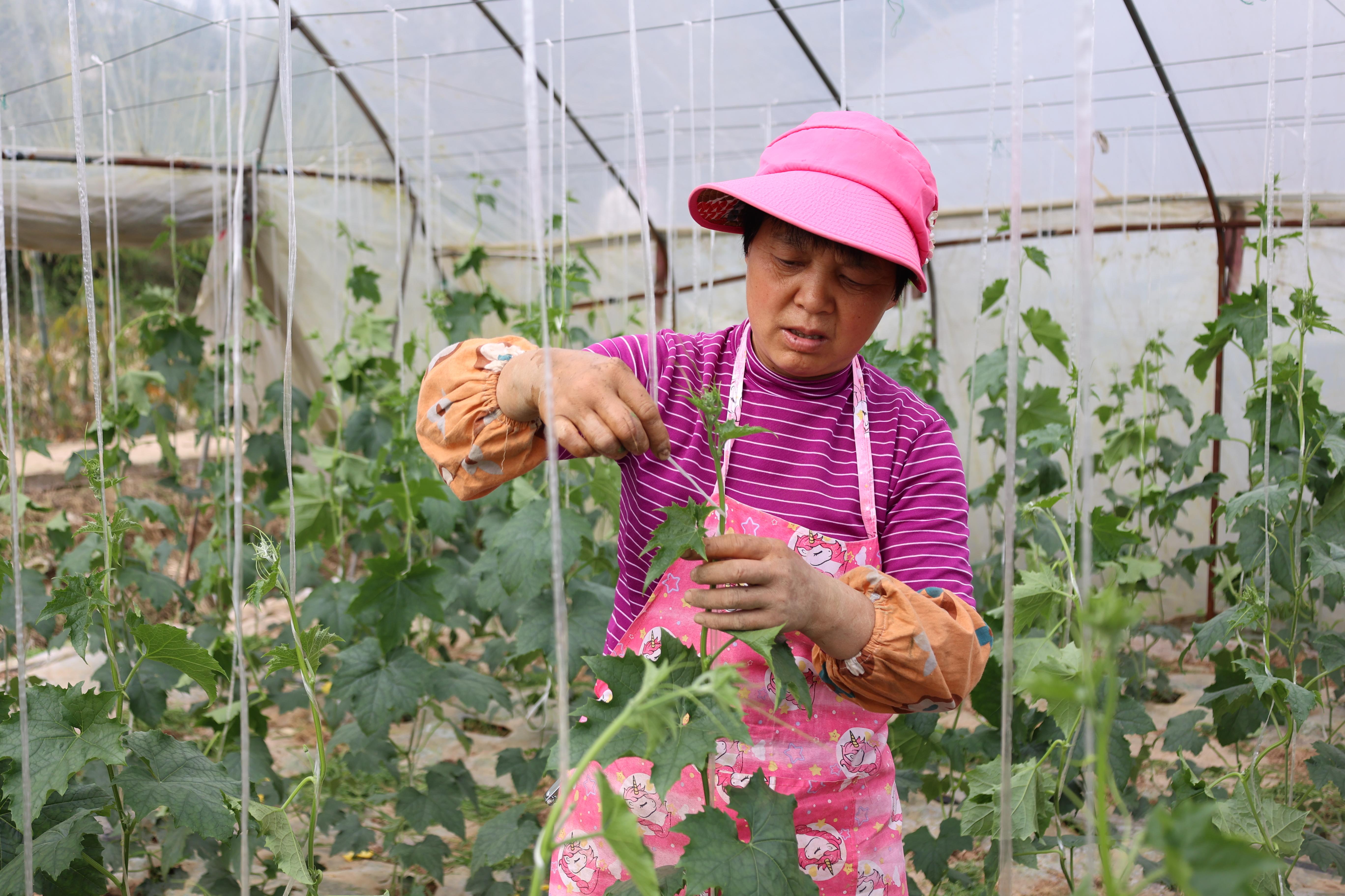 0923248739122019.jpg ae0944548ba227250f67ae3fb1214eab.jpg