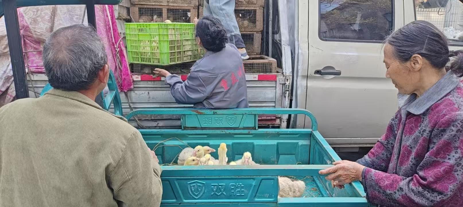 1716194336879471.jpg 微信图片_20260512151015_7_1406.jpg