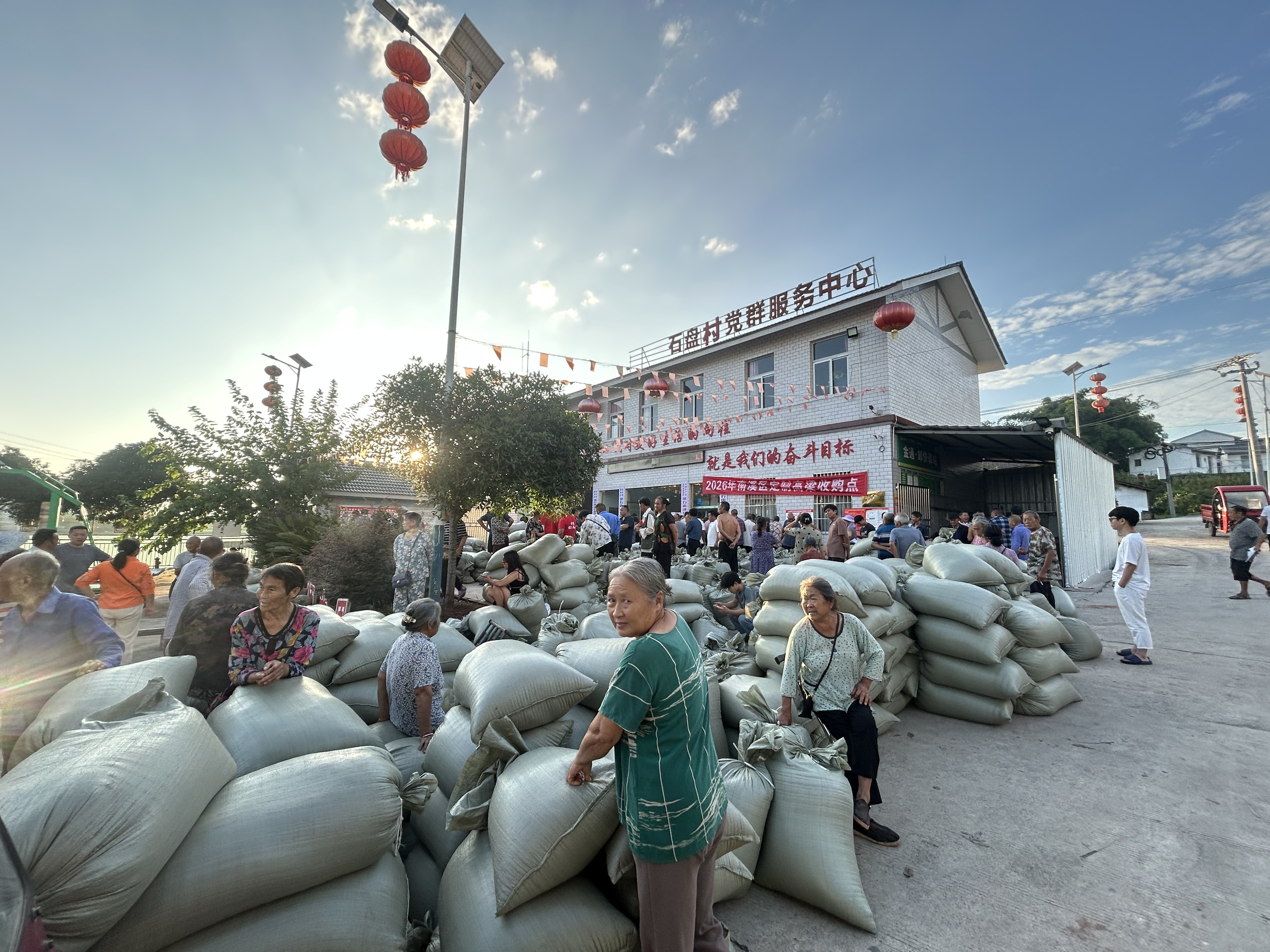 1532425605322651.png 高粱3(1).png
