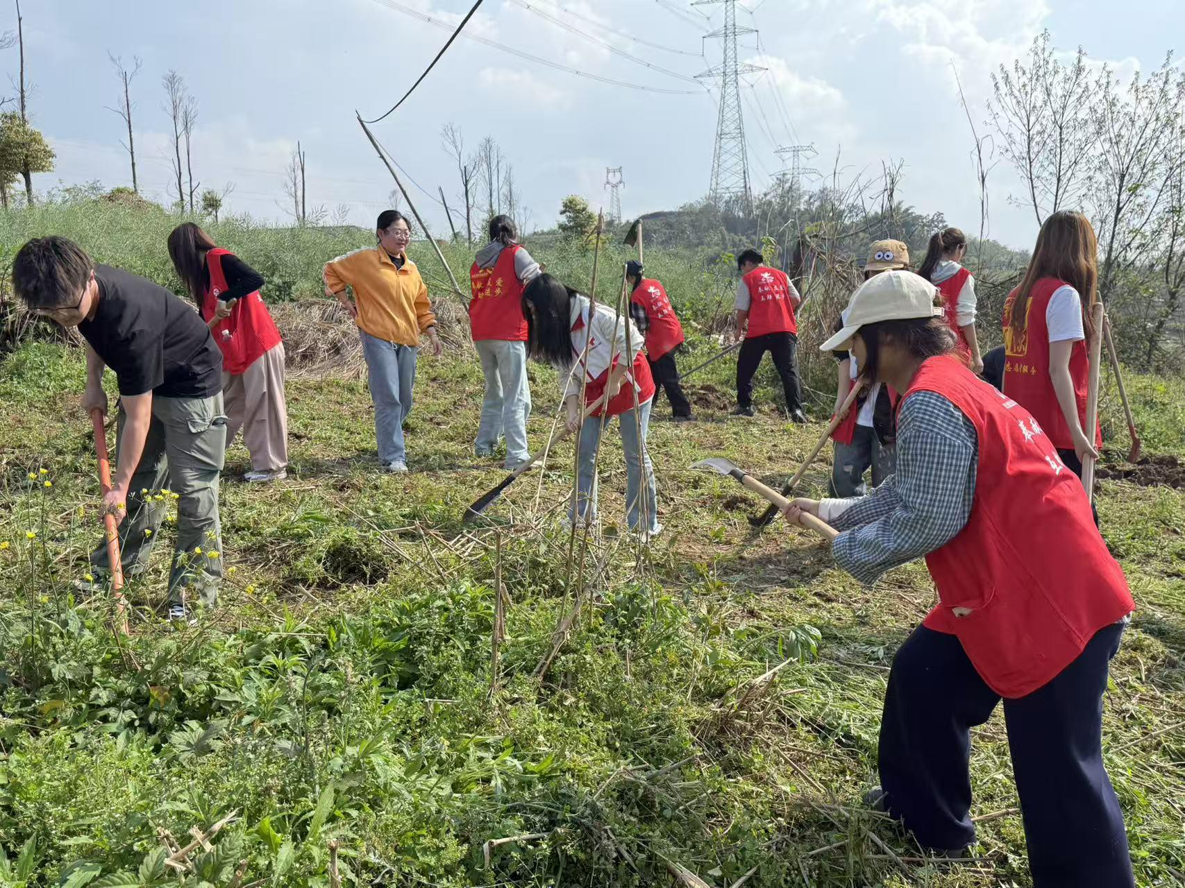 1049294712248491.jpg 微信图片_20260326171327_250_231.jpg