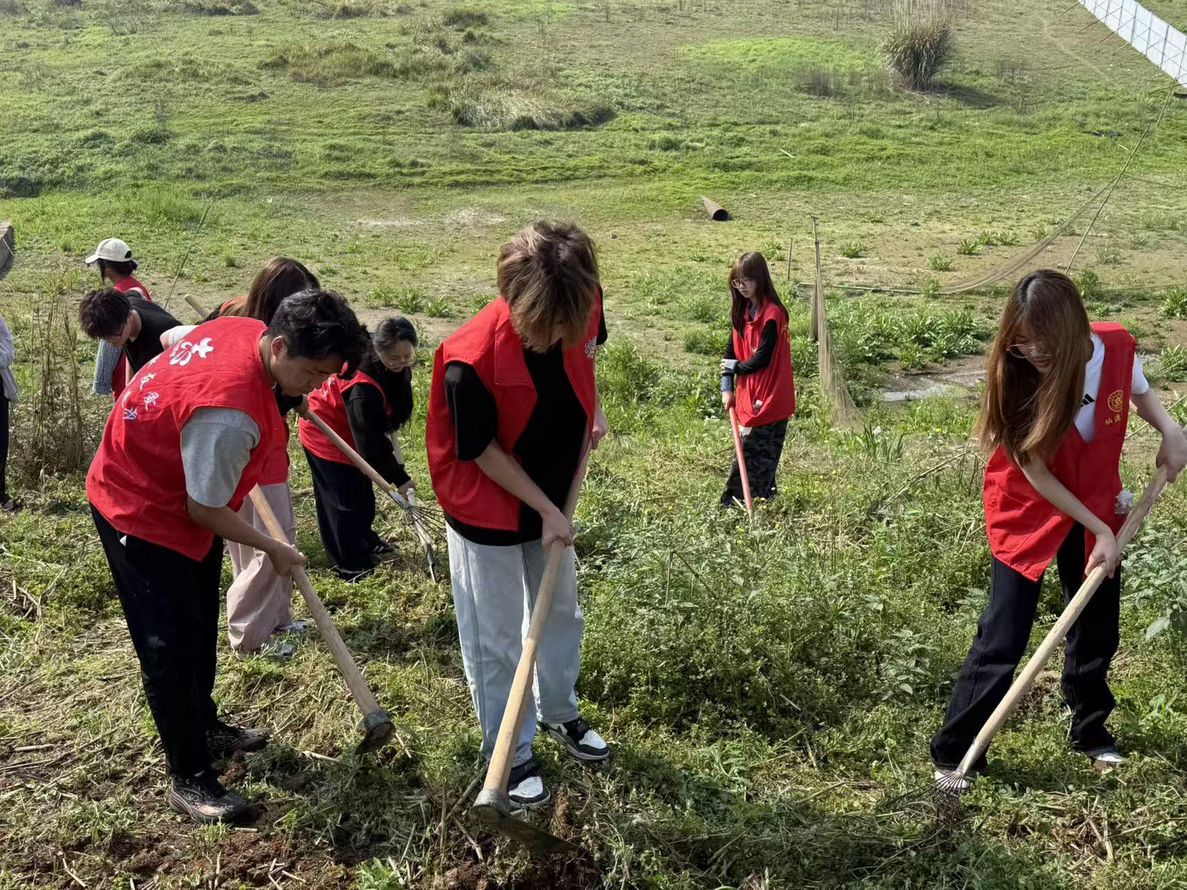 1049383974402464.jpg 微信图片_20260326171420_252_231.jpg