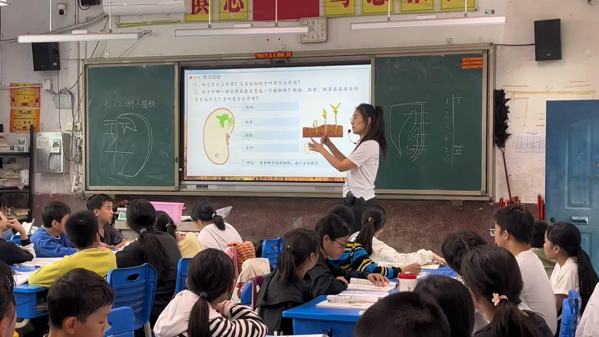 马笛馨.jpg