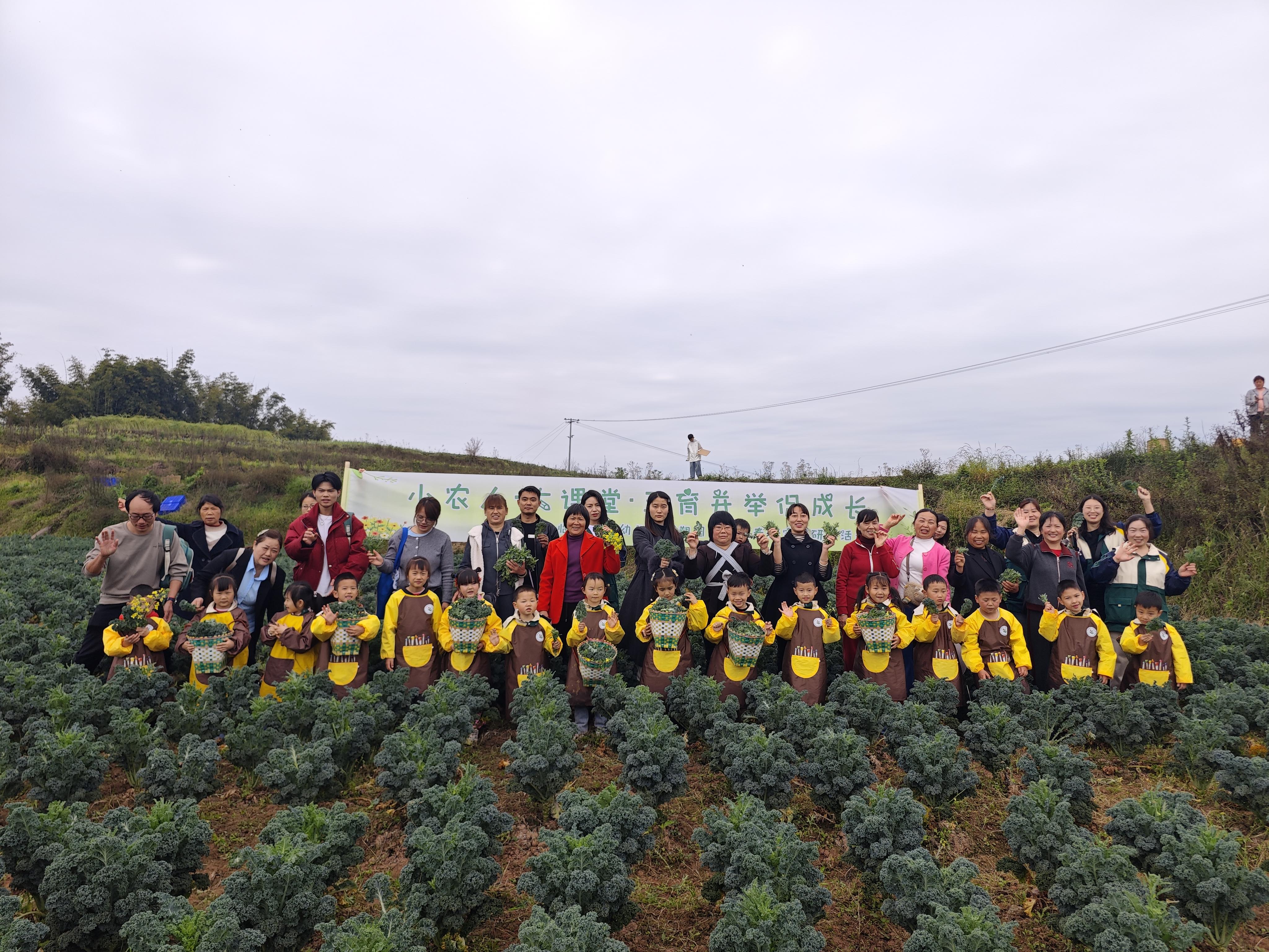 1510588669583614.jpg 微信图片_20260403112742_78_5.jpg